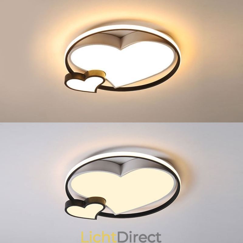 Dubbele Harten Plafondlamp Decoratieve Verlichting
