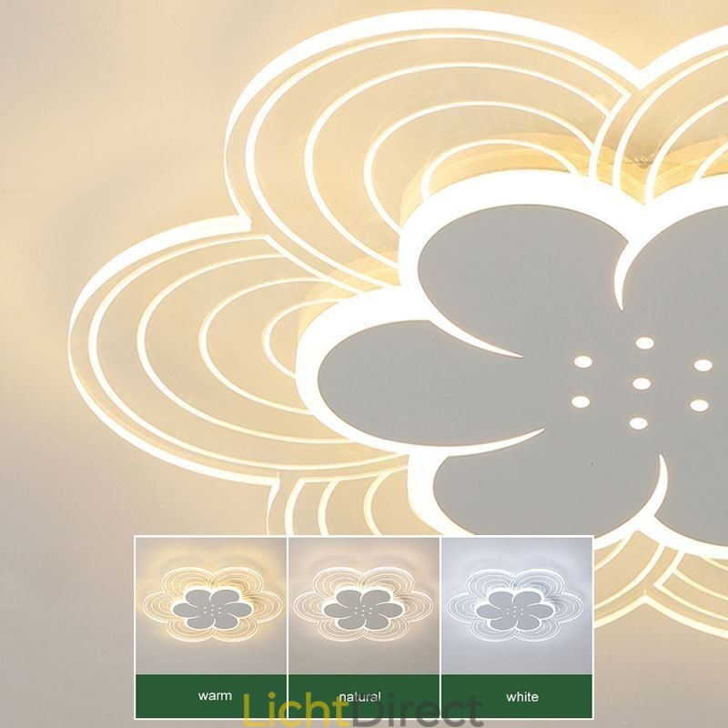 Prachtige Petal Flush Mount Plafondlamp Minimalistische Acryllamp