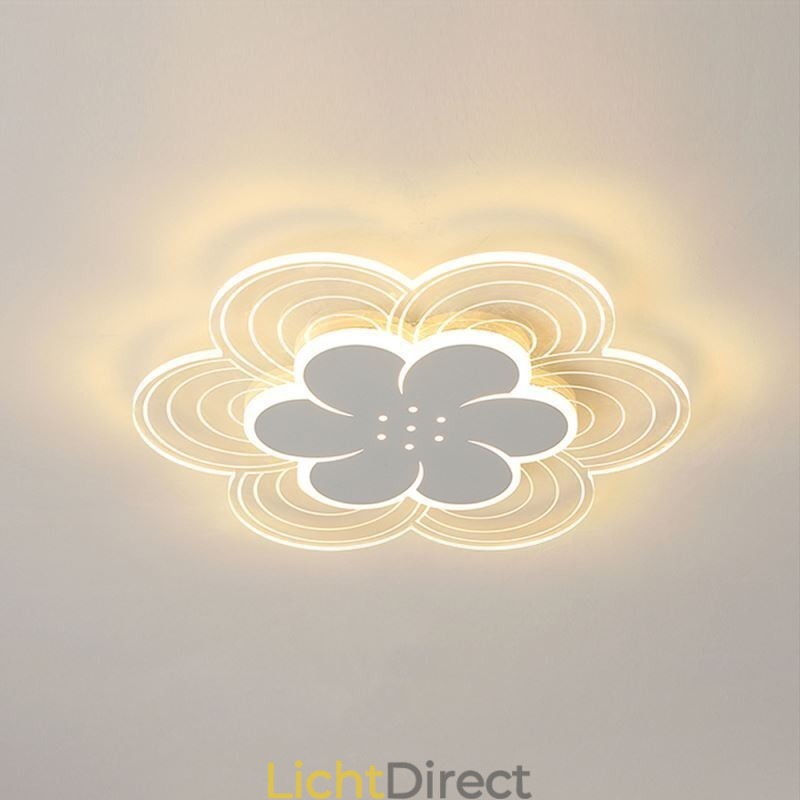Prachtige Petal Flush Mount Plafondlamp Minimalistische Acryllamp