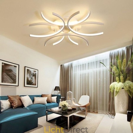 Moderne plafondlamp met silicageldecoratie Moderne plafondlamp met silicageldecoratie