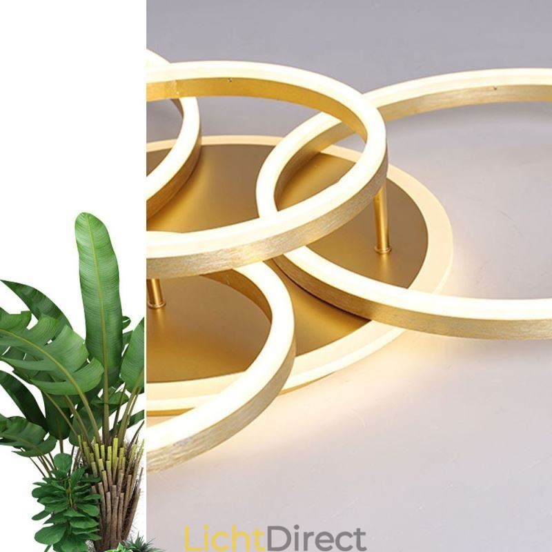 Halo Ring Flush Mount Moderne Acryl Plafondlamp