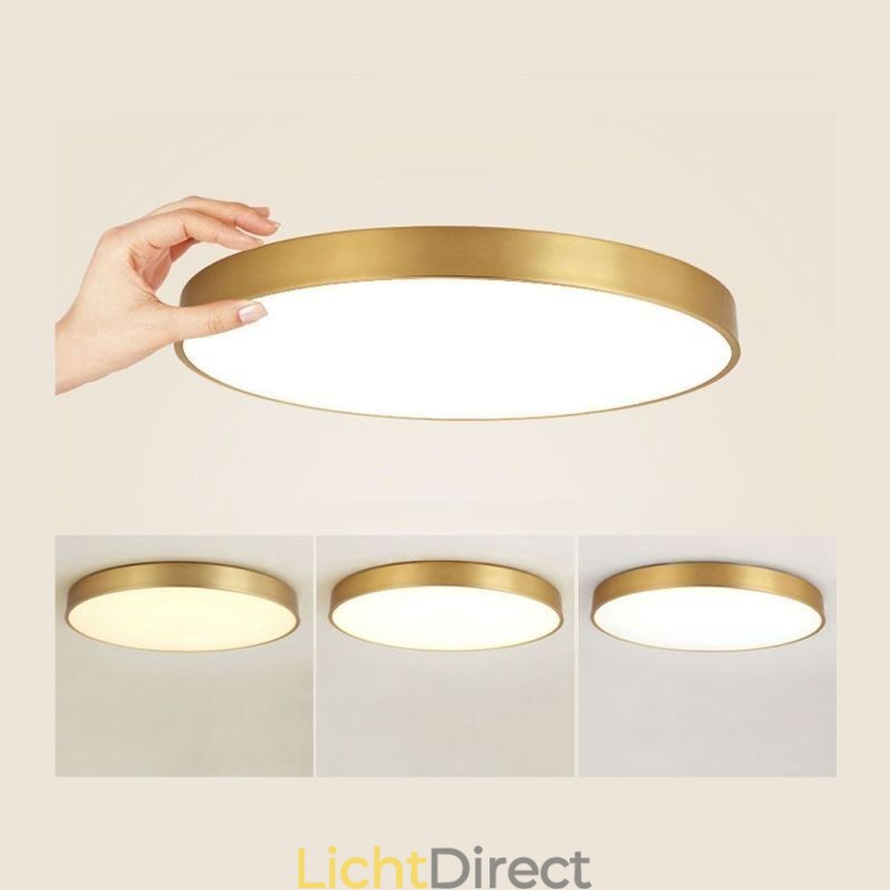 Ronde plafondlamp van modern goudkleurig acryl