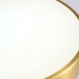 Ronde plafondlamp van modern goudkleurig acryl