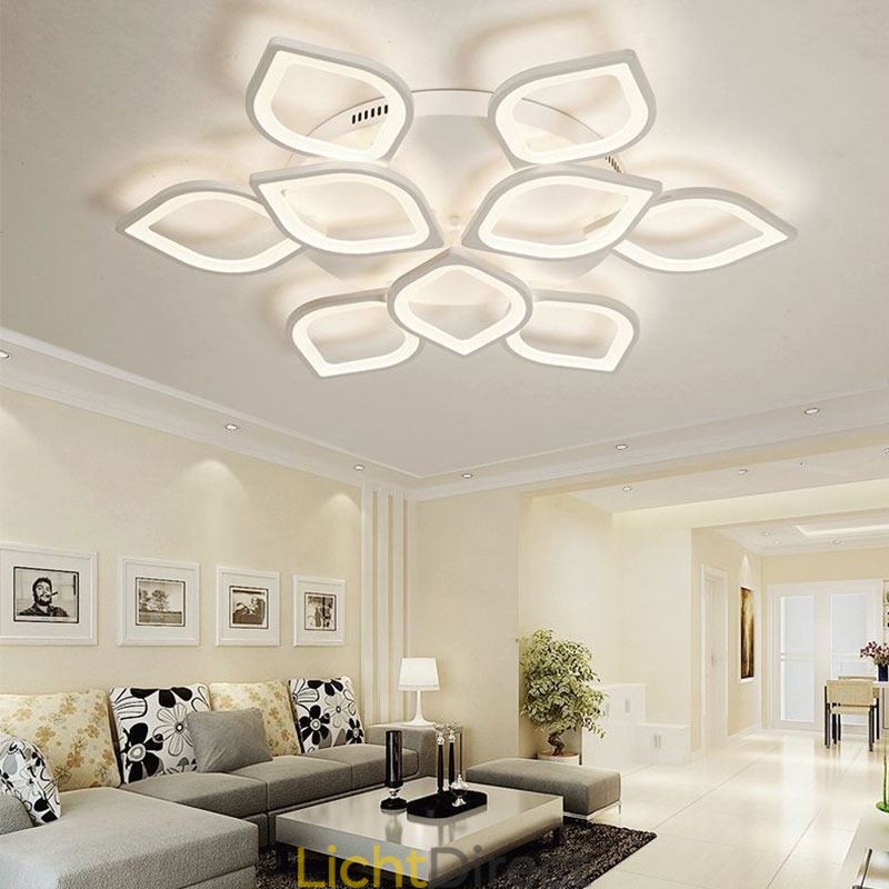 Moderne eenvoudige plafondlamp van acryl met bloemblaadjes