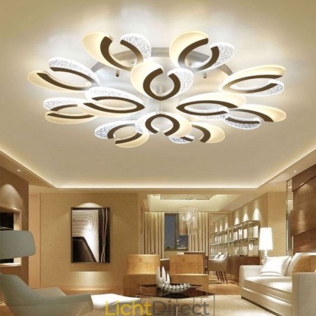 Moderne eenvoudige plafondlamp in de vorm van een hart van acryl