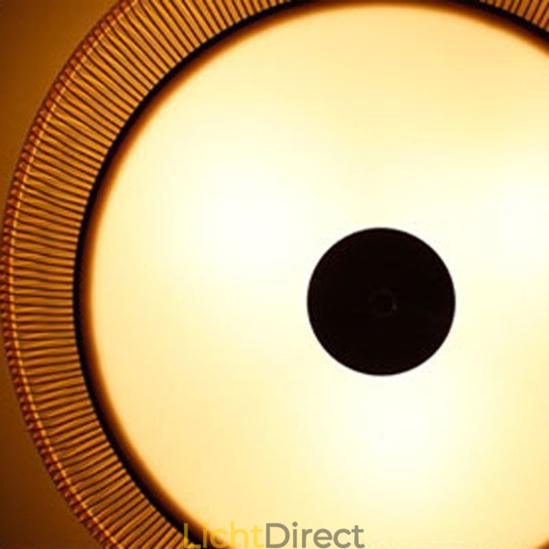 Chinese speciale bamboe plafondlamp met creatieve Japanse ronde plafondmontage