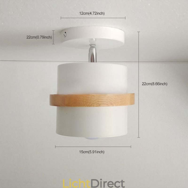 Ronde Macaron Spotlight Chromatische Plafondlamp (Enkele Lamp)