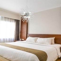 Vuurwerk kroonluchter 8 lampen paardenbloem hanglamp