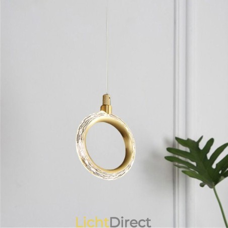 Hanglamp Acryl Ringlamp met Spot Hanglamp Acryl Ringlamp met Spot