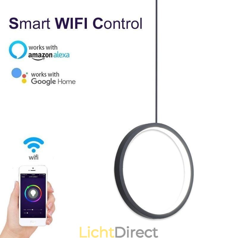 Minimalistische ringvormige hanglamp Decoratieve plafondlamp