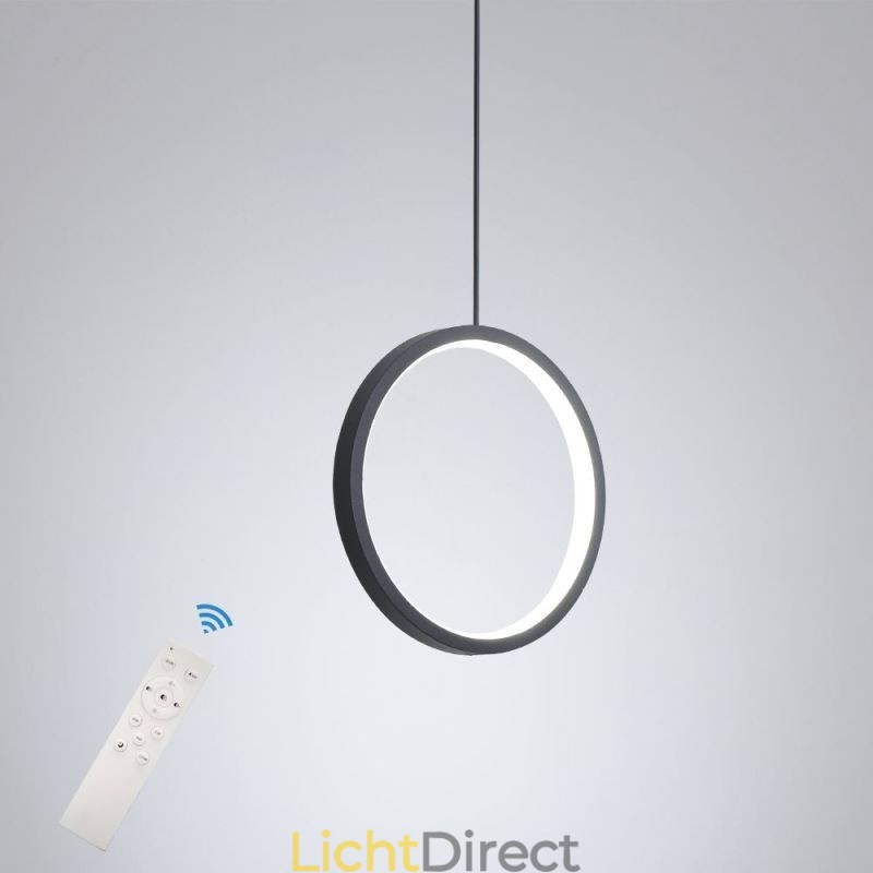 Minimalistische ringvormige hanglamp Decoratieve plafondlamp