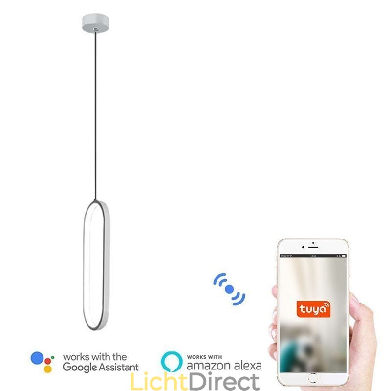Ovale hanglamp, decoratieve lamp van acryl