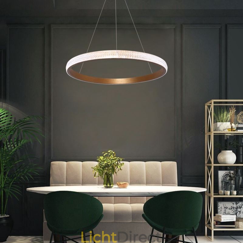 Ring Hanglamp Minimalistische Acryl Lichtarmatuur
