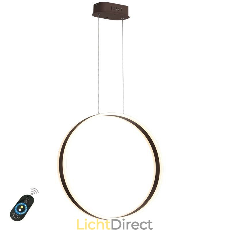 Nordic Hanglamp Acryl Ringvormige Hanglamp