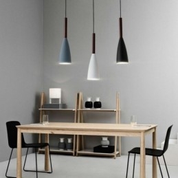 Moderne hanglamp, eenvoudig, speciaal design, lamplicht