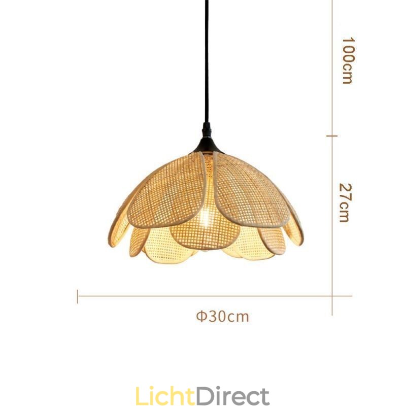 Rotan hanglamp Retro rotan plafondlamp