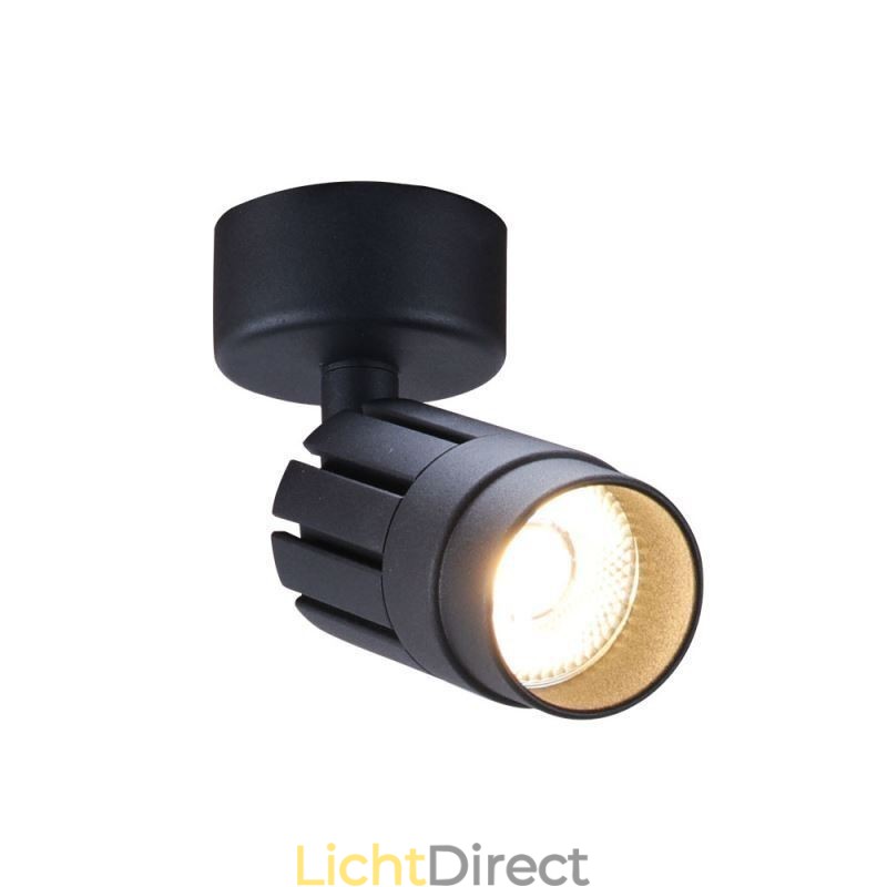 Draaibare COB-spot Zwarte plafondspot (enkele lamp)