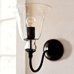 Door de natuur geïnspireerde wandlamp van ijzer met transparante glazen kap