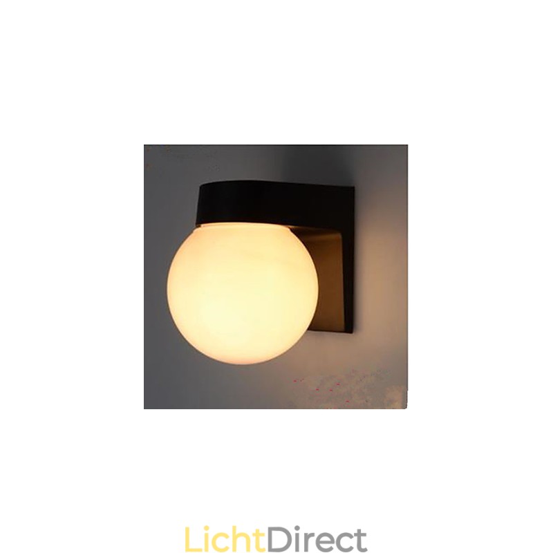 Acryl Schelp Wandlamp