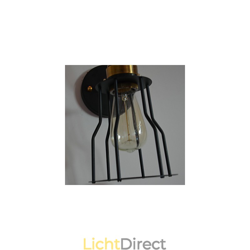 Minimalistische artistieke wandlamp met zwarte metalen skeletkap