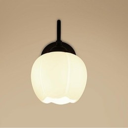 Moderne eigentijdse rustieke lodge landelijke andere kenmerken voor mini-stijl downlight wandlampen wandlamp