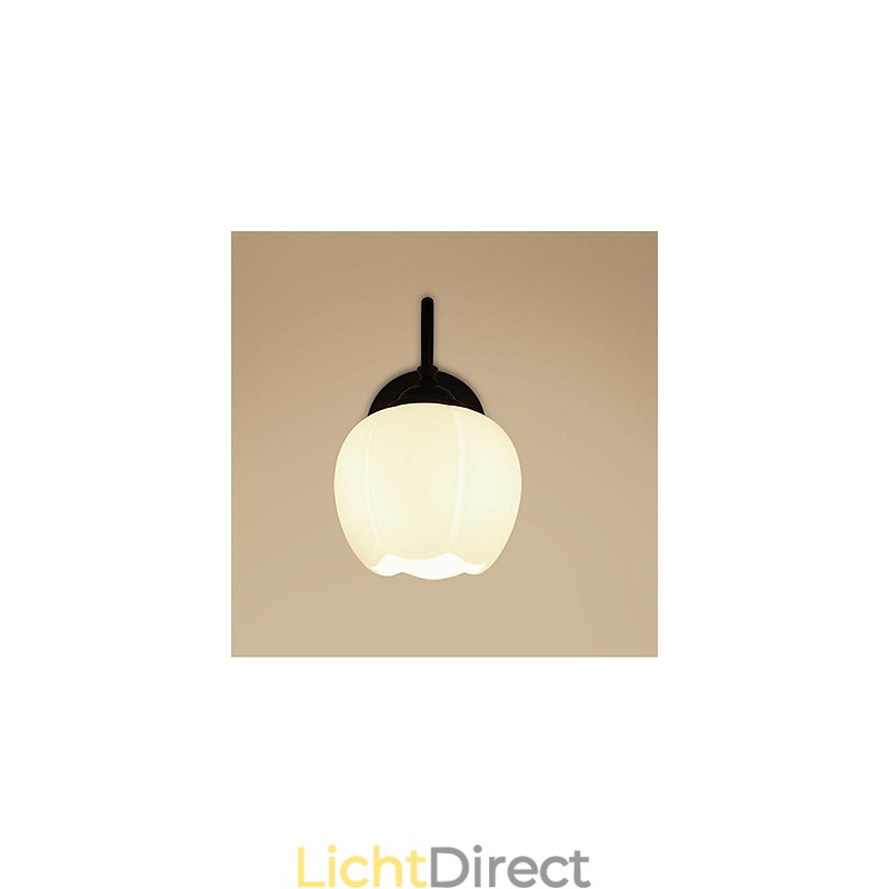 Moderne eigentijdse rustieke lodge landelijke andere kenmerken voor mini-stijl downlight wandlampen wandlamp