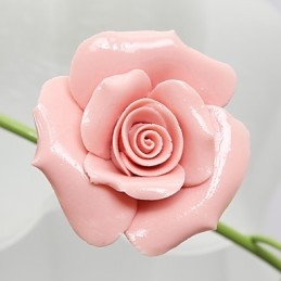 Valentijnsdag De rozentuin Bloemen en planten absorberen koepellicht