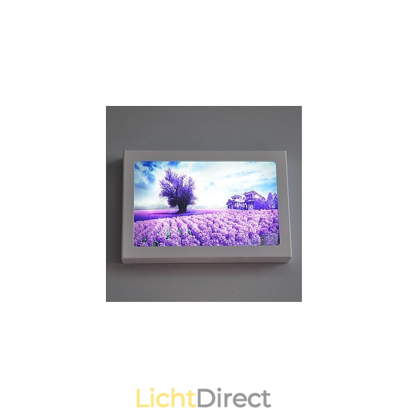 Geïntegreerde moderne hedendaagse moderne hedendaagse schilderfunctie voor sfeervolle lichtwandlampen