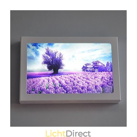 Geïntegreerde moderne hedendaagse moderne hedendaagse schilderfunctie voor sfeervolle lichtwandlampen