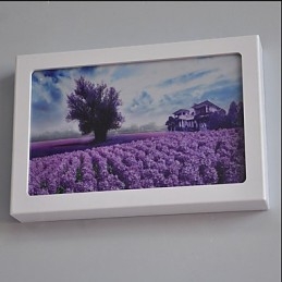 Geïntegreerde moderne hedendaagse moderne hedendaagse schilderfunctie voor sfeervolle lichtwandlampen