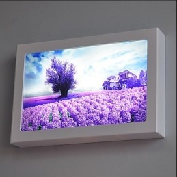 Geïntegreerde moderne hedendaagse moderne hedendaagse schilderfunctie voor sfeervolle lichtwandlampen