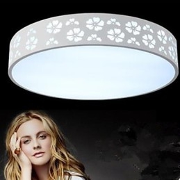 Gesmeed ijzeren holle pruimenbloesem zijcirkelvormige koepellamp