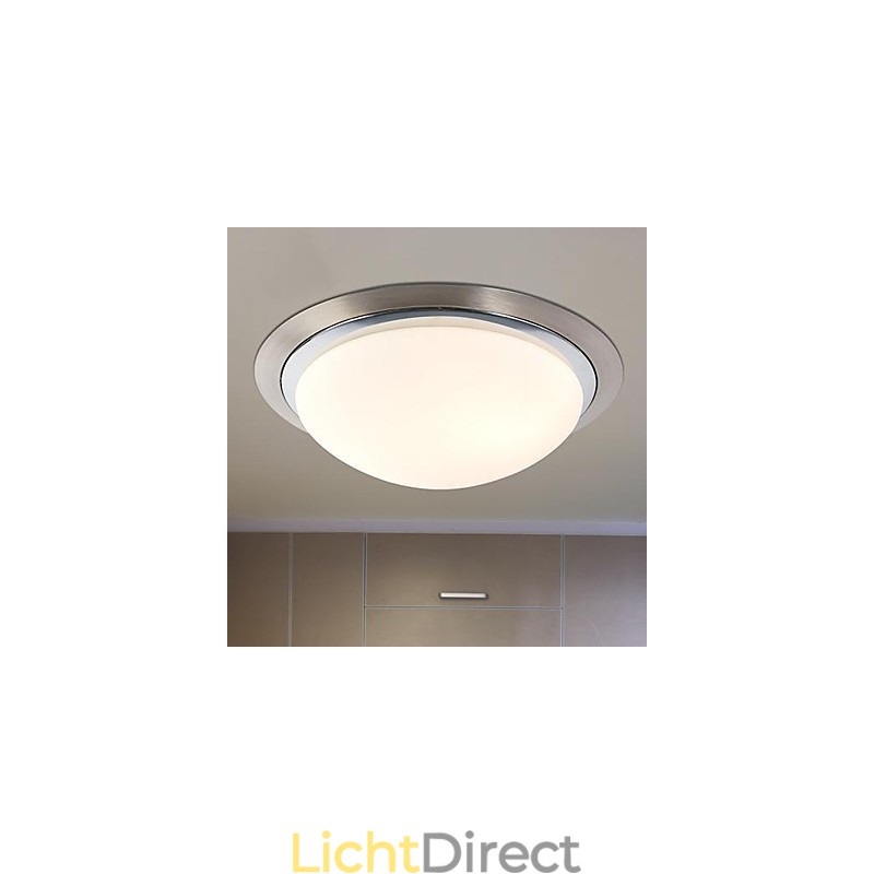 Plafondlamp 1 Licht Modern Eenvoudig Artistiek