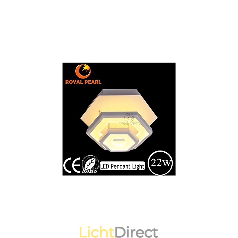 Moderne plafondlamp 22W