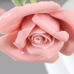 Valentijnsdag De rozentuin Bloemen en planten absorberen koepellicht