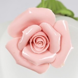 Valentijnsdag Tuin Bloemen En Planten Absorberen Koepellicht