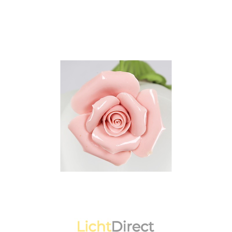 Valentijnsdag Tuin Bloemen En Planten Absorberen Koepellicht