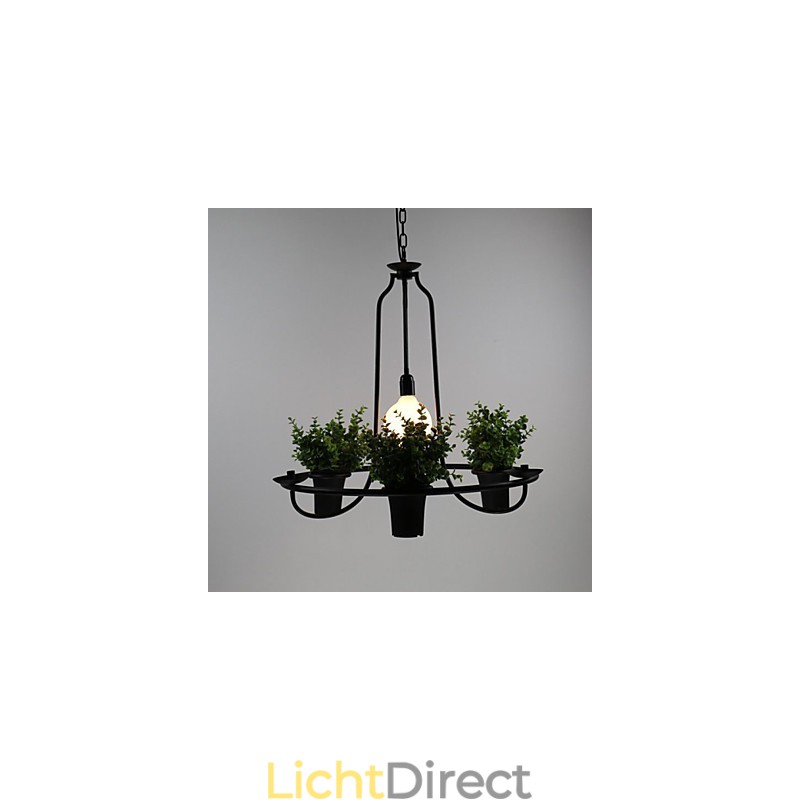 Mediterrane tuinbloemen Licht