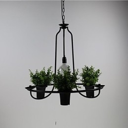 Mediterrane tuinbloemen Licht