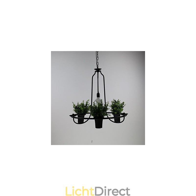 Mediterrane tuinbloemen Licht