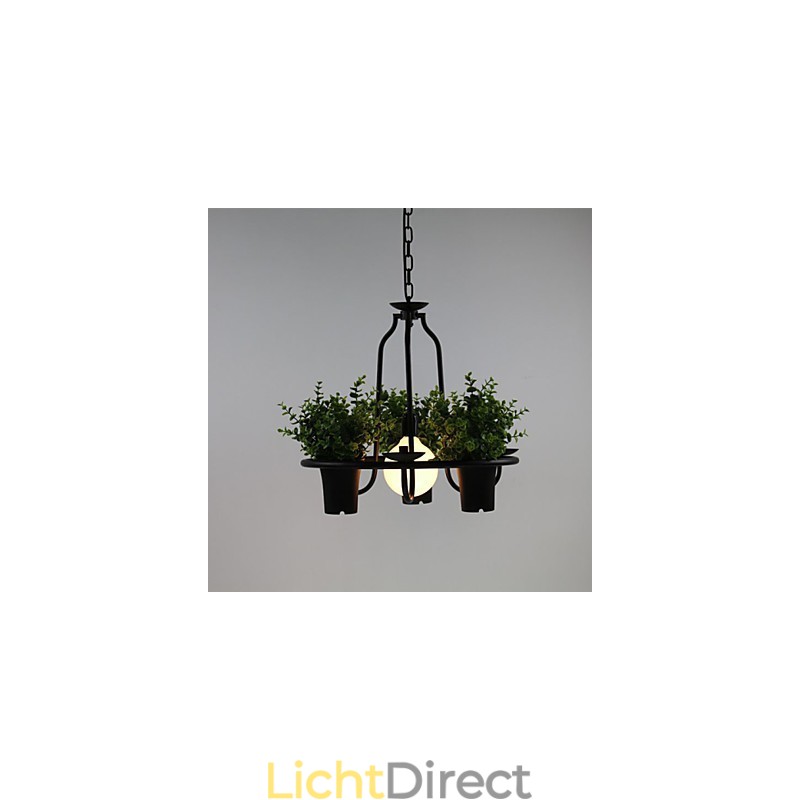 Mediterrane tuinbloemen Licht