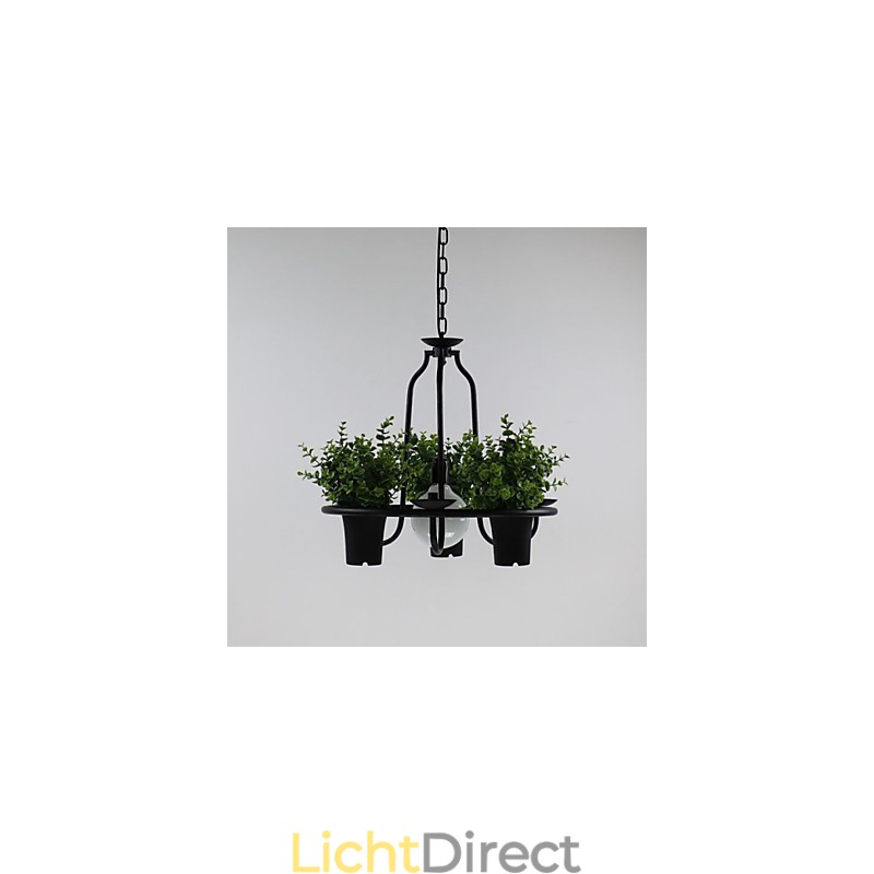 Mediterrane tuinbloemen Licht