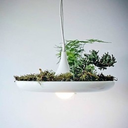 Aluminium Droplight Nordic Creative Contracted Sky Garden Lampen en Lantaarns Licht Geen Aarde Plant