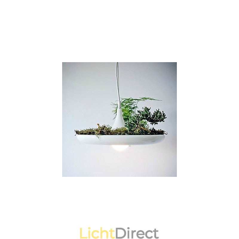Aluminium Droplight Nordic Creative Contracted Sky Garden Lampen en Lantaarns Licht Geen Aarde Plant