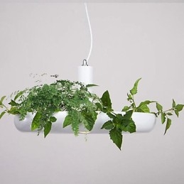 Aluminium Droplight Nordic Creative Contracted Sky Garden Lampen en Lantaarns Licht Geen Aarde Plant