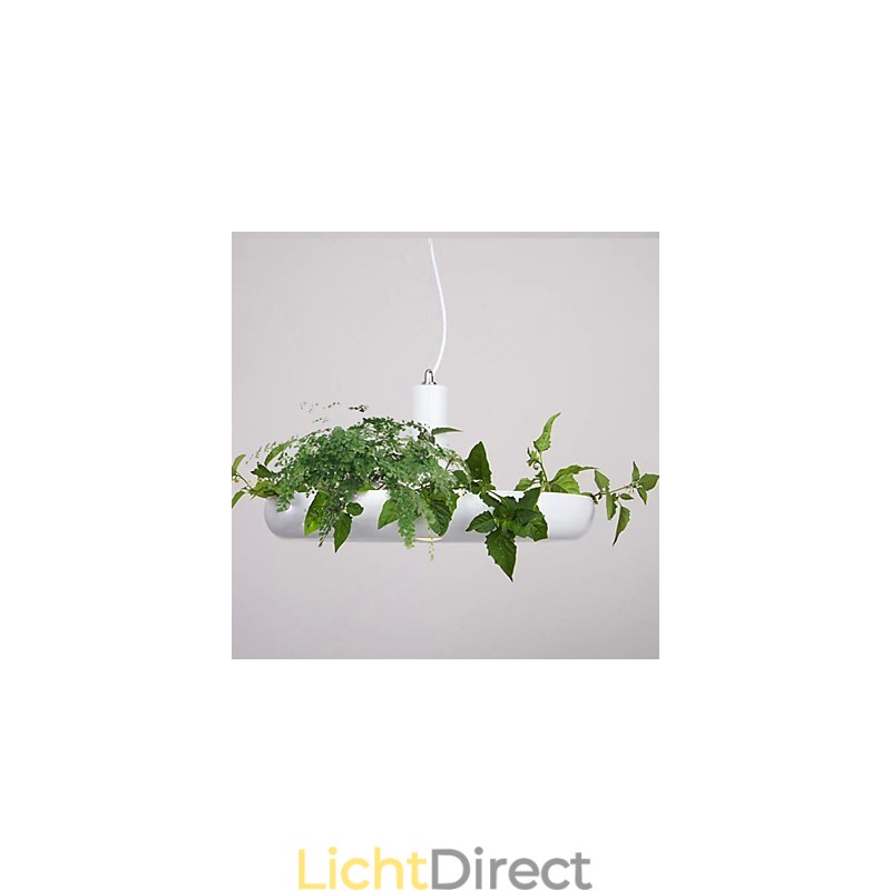 Aluminium Droplight Nordic Creative Contracted Sky Garden Lampen en Lantaarns Licht Geen Aarde Plant