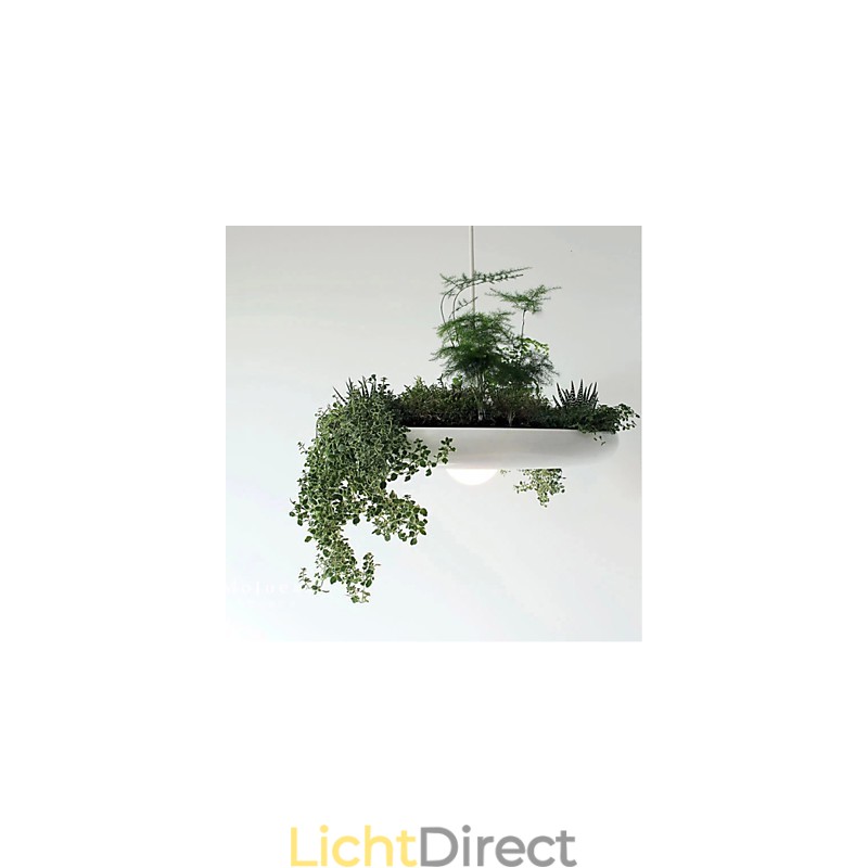 Aluminium Droplight Nordic Creative Contracted Sky Garden Lampen en Lantaarns Licht Geen Aarde Plant