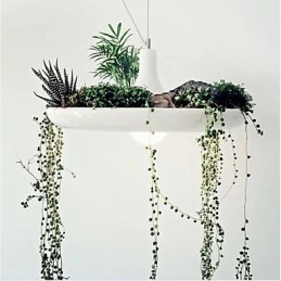 Aluminium Droplight Nordic Creative Contracted Sky Garden Lampen en Lantaarns Licht Geen Aarde Plant