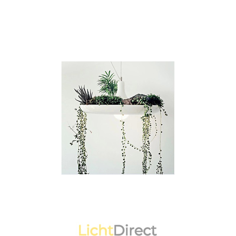 Aluminium Droplight Nordic Creative Contracted Sky Garden Lampen en Lantaarns Licht Geen Aarde Plant