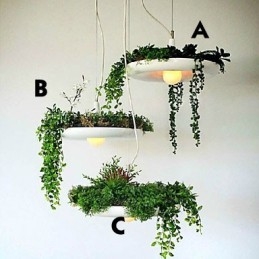 Aluminium Droplight Nordic Creative Contracted Sky Garden Lampen en Lantaarns Licht Geen Aarde Plant